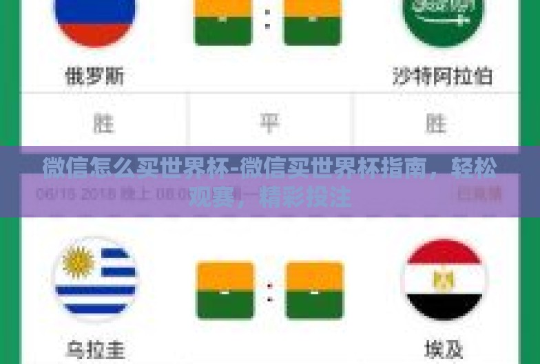 微信怎么买世界杯-微信买世界杯指南，轻松观赛，精彩投注