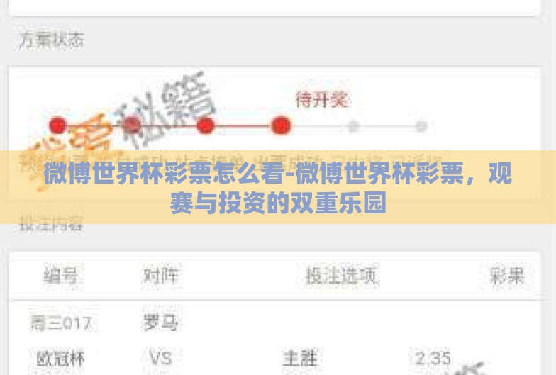 微博世界杯彩票怎么看-微博世界杯彩票，观赛与投资的双重乐园