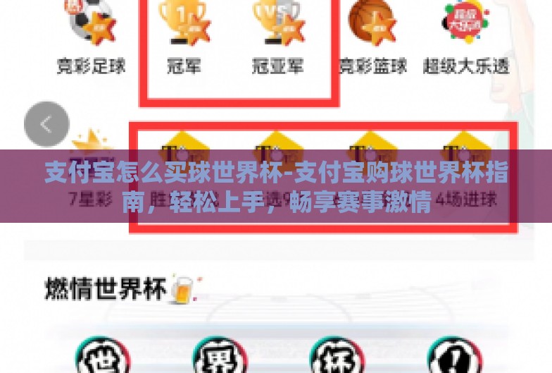 支付宝怎么买球世界杯-支付宝购球世界杯指南，轻松上手，畅享赛事激情