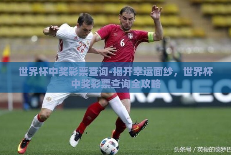 世界杯中奖彩票查询-揭开幸运面纱,世界杯中奖彩票查询全攻略 世界杯中奖彩票查询-揭开幸运面纱,世界杯中奖彩票查询全攻略