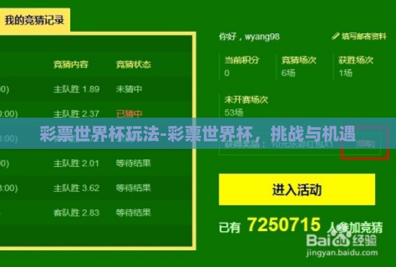 彩票世界杯玩法-彩票世界杯,挑战与机遇 彩票世界杯玩法-彩票世界杯,挑战与机遇