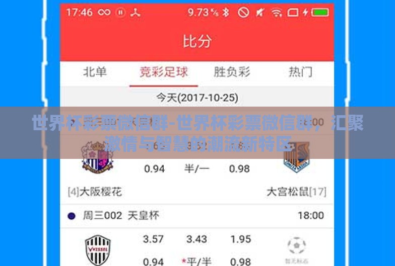 世界杯彩票微信群-世界杯彩票微信群，汇聚激情与智慧的潮流新特区