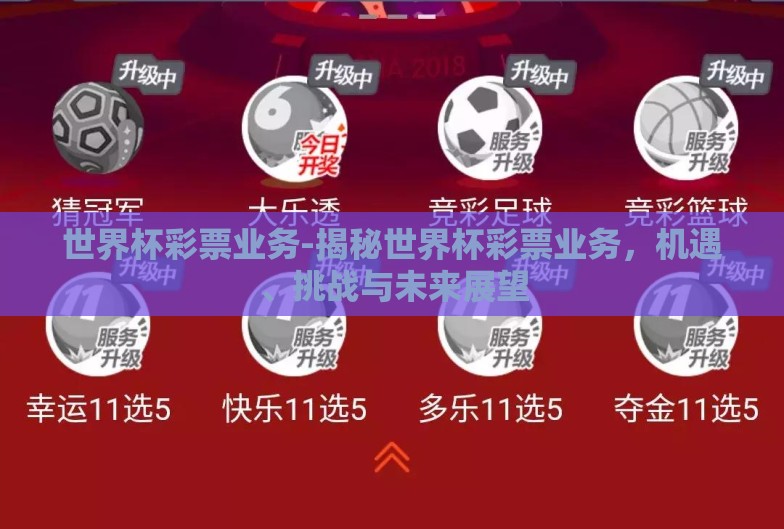 世界杯彩票业务-揭秘世界杯彩票业务，机遇、挑战与未来展望