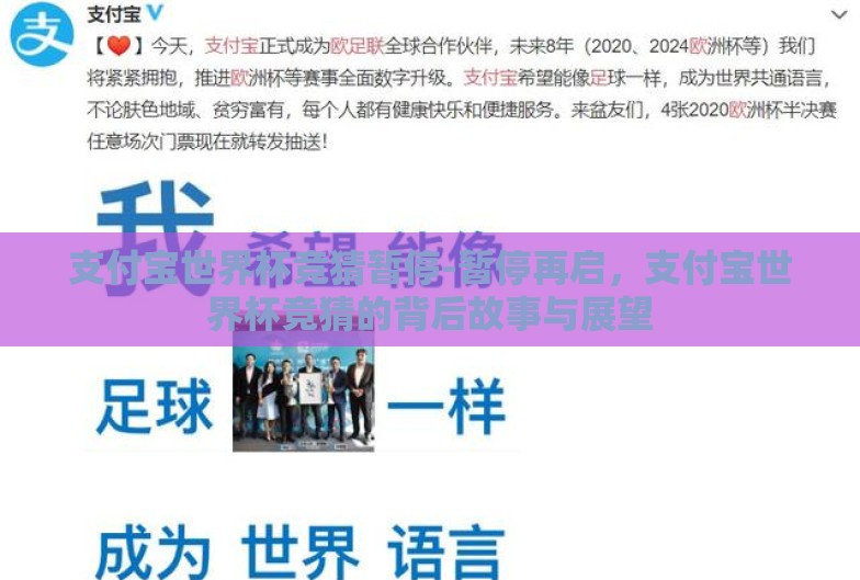 支付宝世界杯竞猜暂停-暂停再启，支付宝世界杯竞猜的背后故事与展望