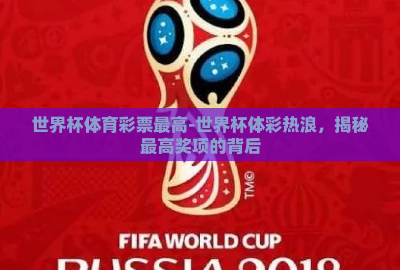 世界杯体育彩票最高-世界杯体彩热浪，揭秘最高奖项的背后