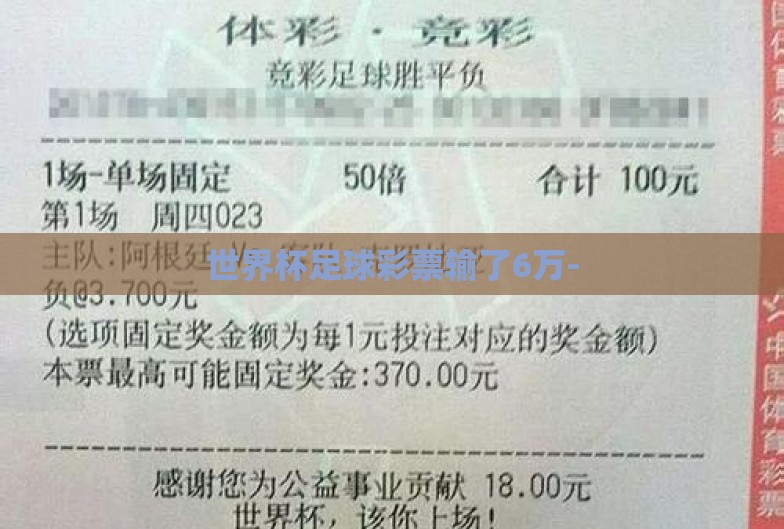 世界杯足球彩票输了6万- 世界杯足球彩票输了6万-