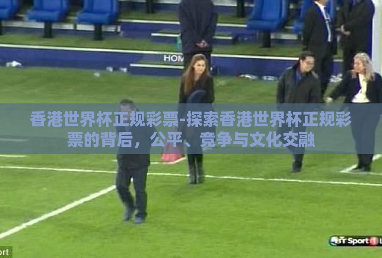 香港世界杯正规彩票-探索香港世界杯正规彩票的背后，公平、竞争与文化交融