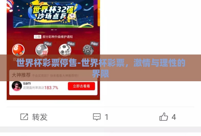 世界杯彩票停售-世界杯彩票,激情与理性的界限 世界杯彩票停售-世界杯彩票,激情与理性的界限