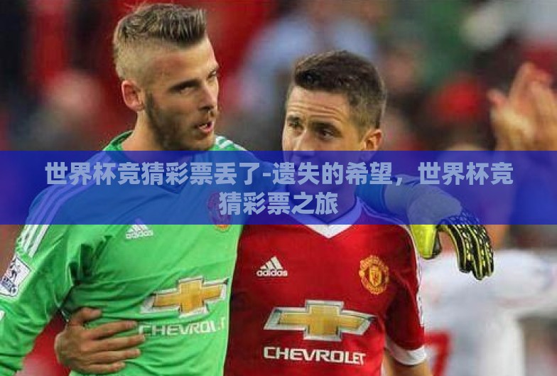 世界杯竞猜彩票丢了-遗失的希望,世界杯竞猜彩票之旅 世界杯竞猜彩票丢了-遗失的希望,世界杯竞猜彩票之旅