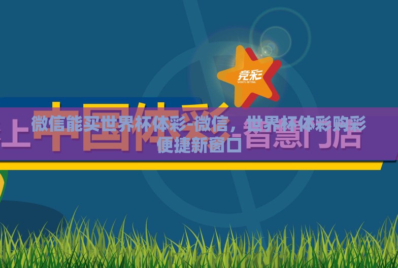 微信能买世界杯体彩-微信，世界杯体彩购彩便捷新窗口