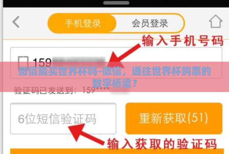 微信能买世界杯吗-微信，通往世界杯购票的数字桥梁？