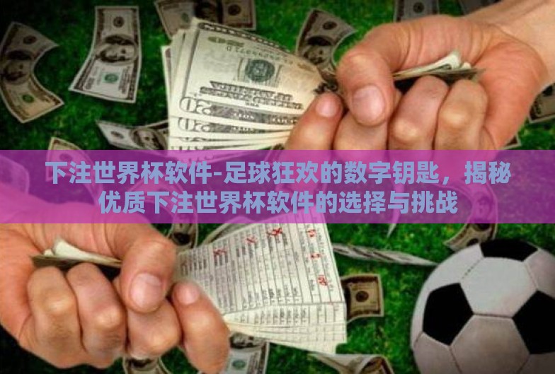 下注世界杯软件-足球狂欢的数字钥匙,揭秘优质下注世界杯软件的选择与挑战 下注世界杯软件-足球狂欢的数字钥匙,揭秘优质下注世界杯软件的选择与挑战