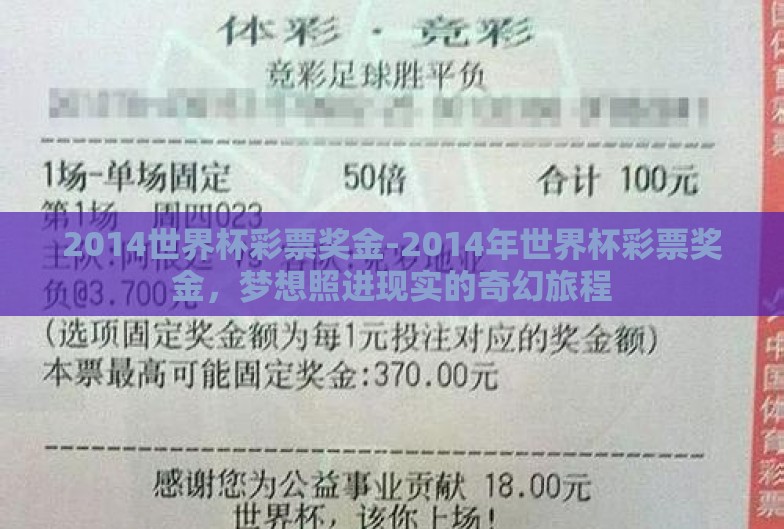 2014世界杯彩票奖金-2014年世界杯彩票奖金，梦想照进现实的奇幻旅程