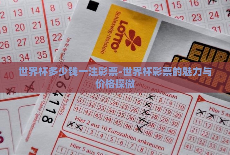 世界杯多少钱一注彩票-世界杯彩票的魅力与价格探微 世界杯多少钱一注彩票-世界杯彩票的魅力与价格探微
