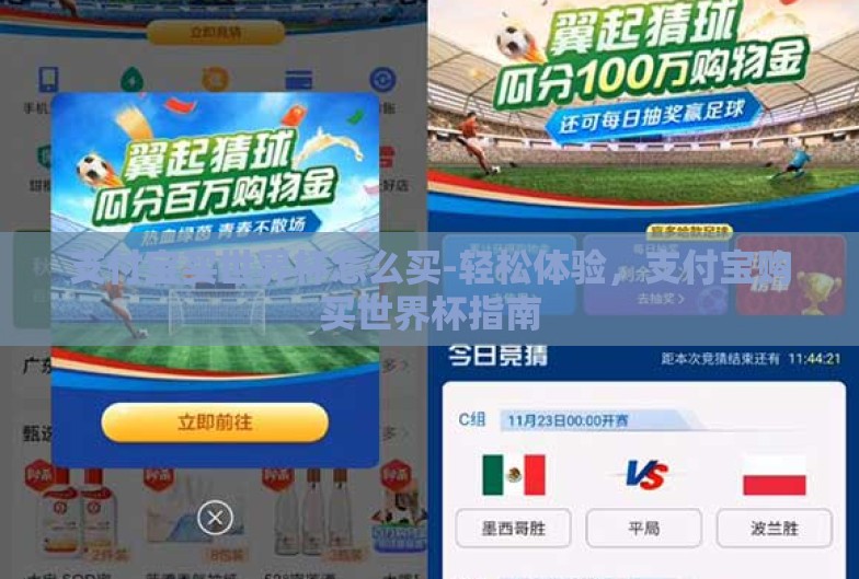 支付宝买世界杯怎么买-轻松体验,支付宝购买世界杯指南 支付宝买世界杯怎么买-轻松体验,支付宝购买世界杯指南