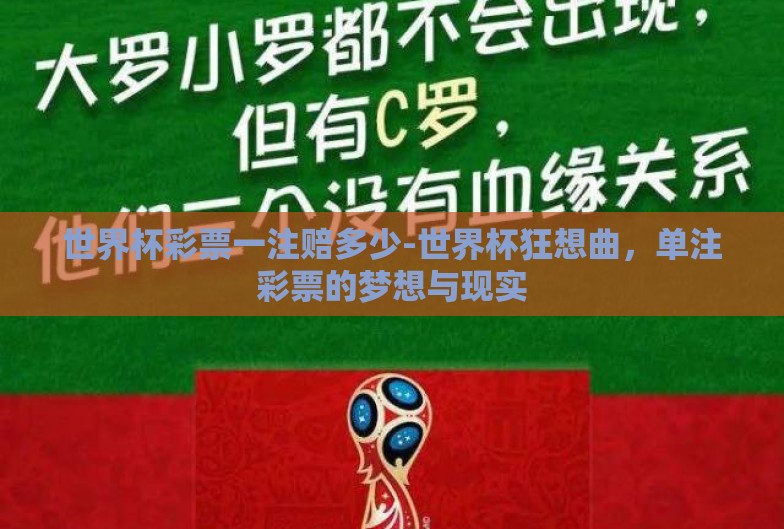 世界杯彩票一注赔多少-世界杯狂想曲，单注彩票的梦想与现实