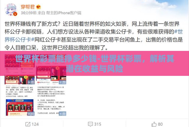 世界杯彩票能挣多少钱-世界杯彩票,解析其潜在收益与风险 世界杯彩票能挣多少钱-世界杯彩票,解析其潜在收益与风险