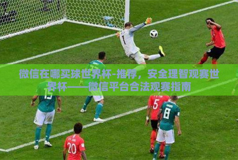 微信在哪买球世界杯-推荐,安全理智观赛世界杯——微信平台合法观赛指南 微信在哪买球世界杯-推荐,安全理智观赛世界杯——微信平台合法观赛指南