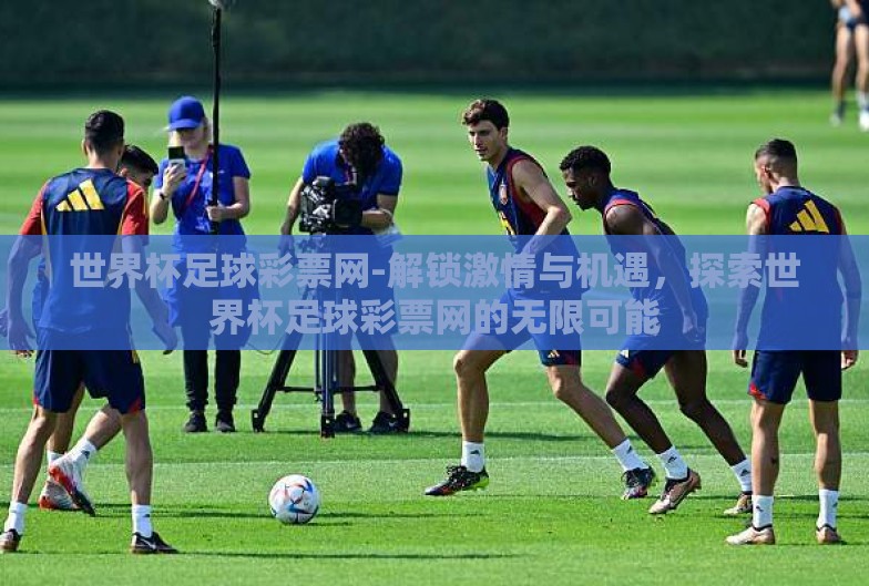 世界杯足球彩票网-解锁激情与机遇,探索世界杯足球彩票网的无限可能 世界杯足球彩票网-解锁激情与机遇,探索世界杯足球彩票网的无限可能