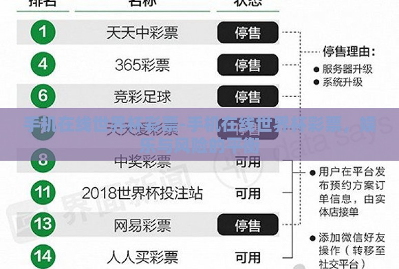 手机在线世界杯彩票-手机在线世界杯彩票，娱乐与风险的平衡