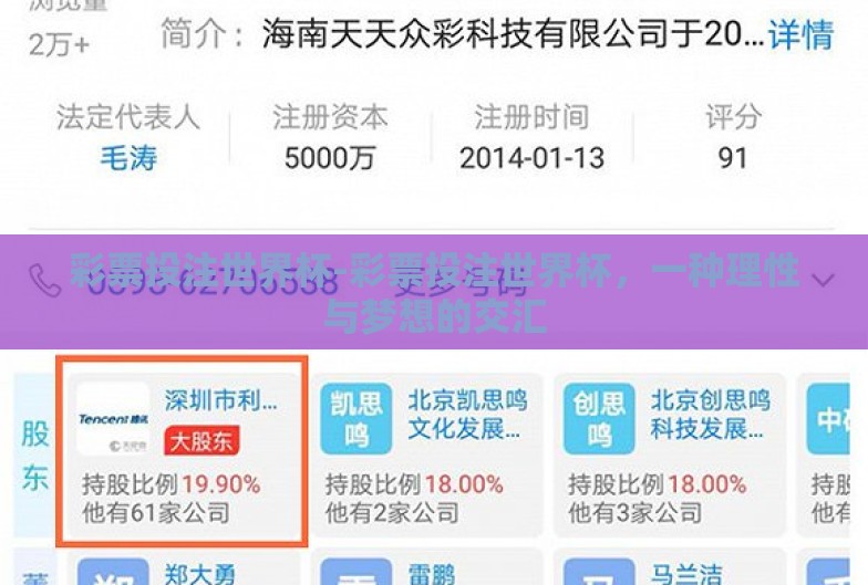 彩票投注世界杯-彩票投注世界杯,一种理性与梦想的交汇 彩票投注世界杯-彩票投注世界杯,一种理性与梦想的交汇