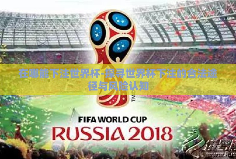 在哪能下注世界杯-探寻世界杯下注的合法途径与风险认知