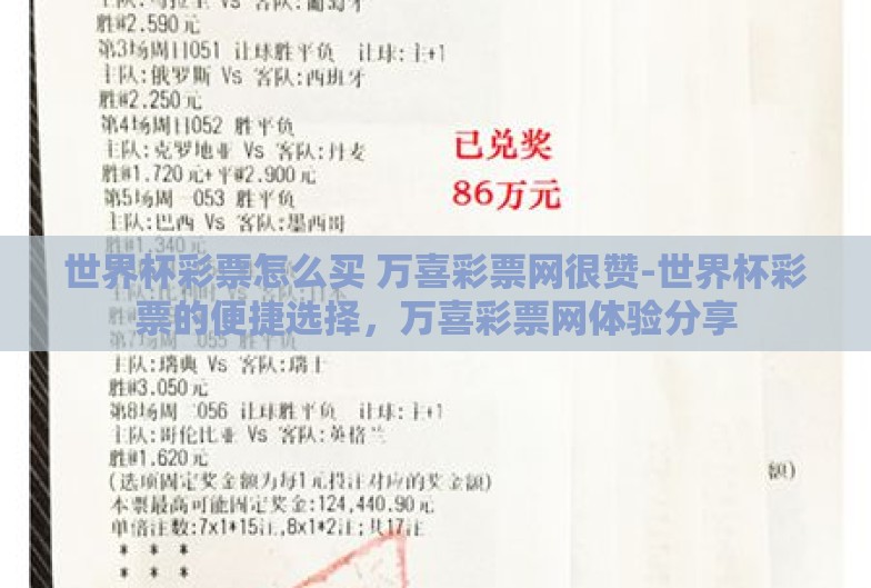 世界杯彩票怎么买 万喜彩票网很赞-世界杯彩票的便捷选择，万喜彩票网体验分享