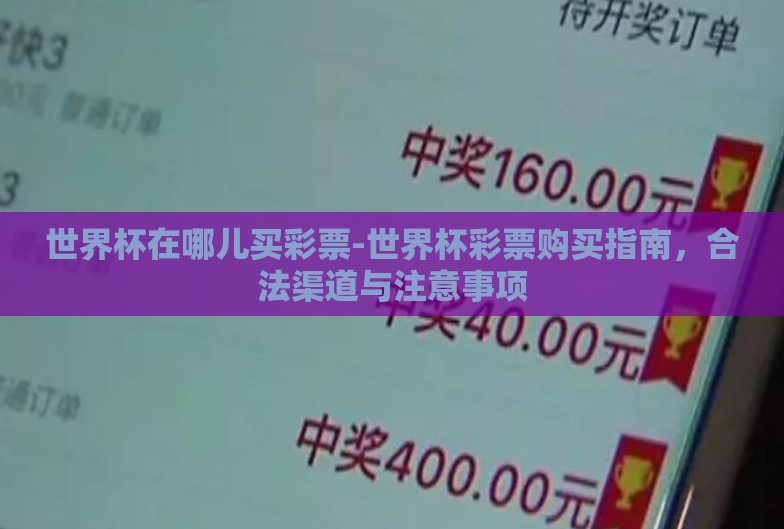 世界杯在哪儿买彩票-世界杯彩票购买指南，合法渠道与注意事项