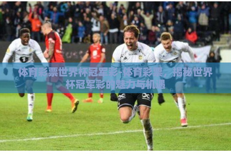 体育彩票世界杯冠军彩-体育彩票，揭秘世界杯冠军彩的魅力与机遇