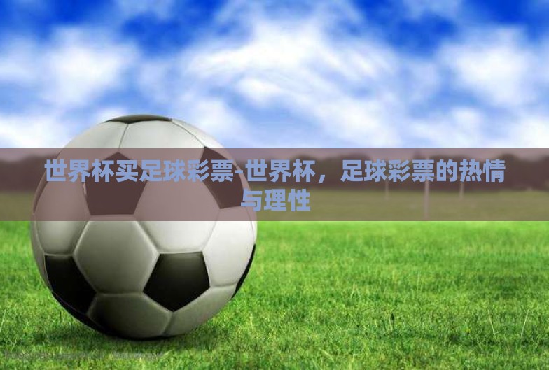 世界杯买足球彩票-世界杯，足球彩票的热情与理性