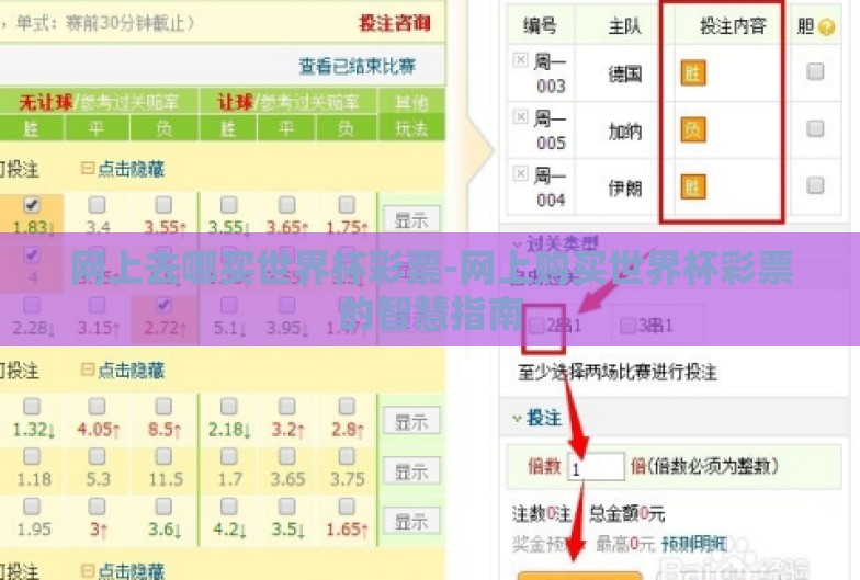 网上去哪买世界杯彩票-网上购买世界杯彩票的智慧指南