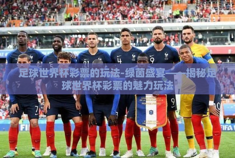 足球世界杯彩票的玩法-绿茵盛宴——揭秘足球世界杯彩票的魅力玩法