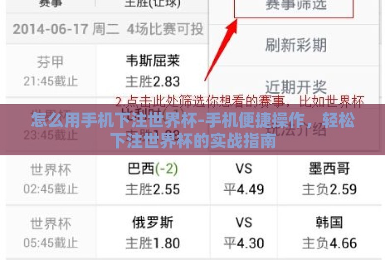 怎么用手机下注世界杯-手机便捷操作，轻松下注世界杯的实战指南