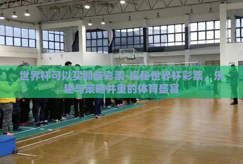 世界杯可以买那些彩票-探秘世界杯彩票，乐趣与策略并重的体育盛宴