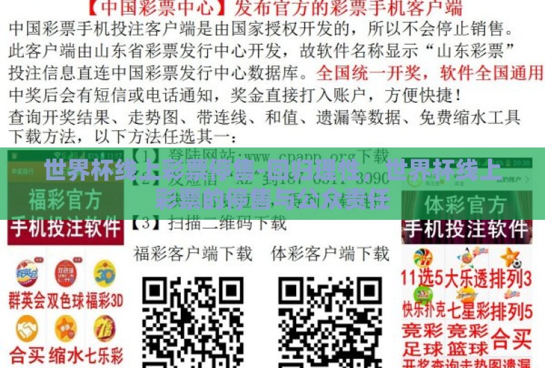 世界杯线上彩票停售-回归理性，世界杯线上彩票的停售与公众责任