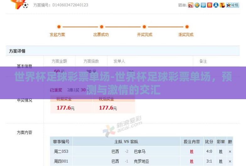 世界杯足球彩票单场-世界杯足球彩票单场，预测与激情的交汇
