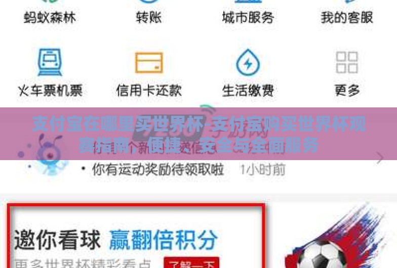 支付宝在哪里买世界杯-支付宝购买世界杯观赛指南，便捷、安全与全面服务