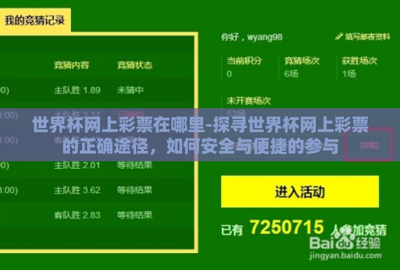 世界杯网上彩票在哪里-探寻世界杯网上彩票的正确途径，如何安全与便捷的参与