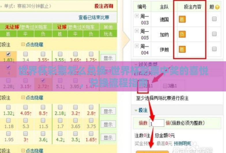 世界杯彩票怎么兑换-世界杯彩票中奖的喜悦，兑换流程指南