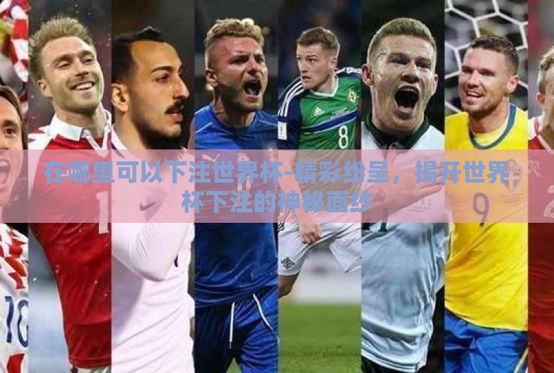 在哪里可以下注世界杯-精彩纷呈，揭开世界杯下注的神秘面纱