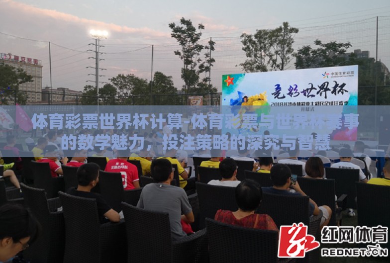 体育彩票世界杯计算-体育彩票与世界杯赛事的数学魅力，投注策略的深究与智慧