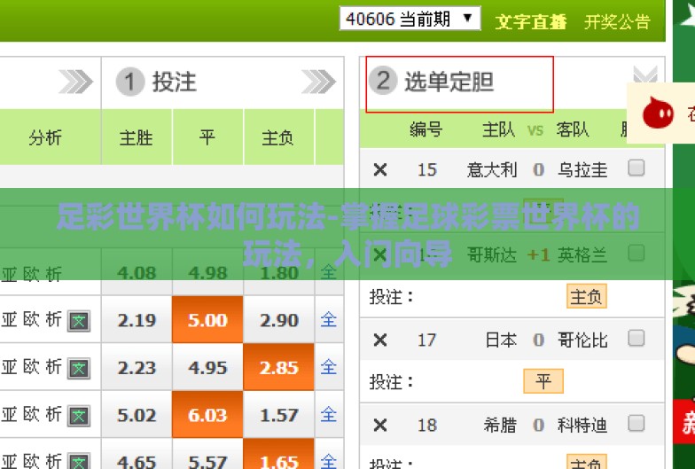 足彩世界杯如何玩法-掌握足球彩票世界杯的玩法，入门向导