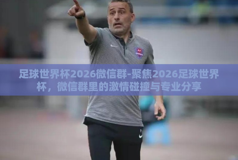 足球世界杯2026微信群-聚焦2026足球世界杯，微信群里的激情碰撞与专业分享