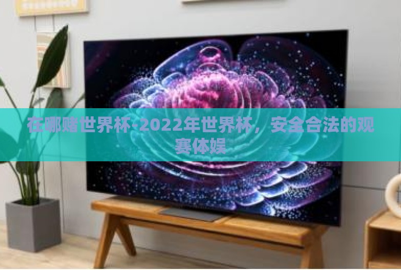 在哪赌世界杯-2022年世界杯，安全合法的观赛体娱