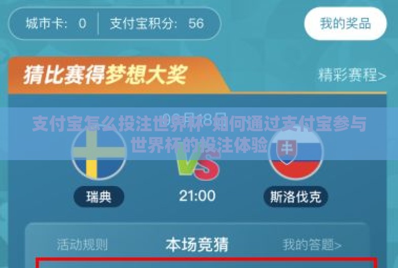 支付宝怎么投注世界杯-如何通过支付宝参与世界杯的投注体验