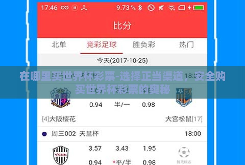 在哪里买世界杯彩票-选择正当渠道，安全购买世界杯彩票的奥秘