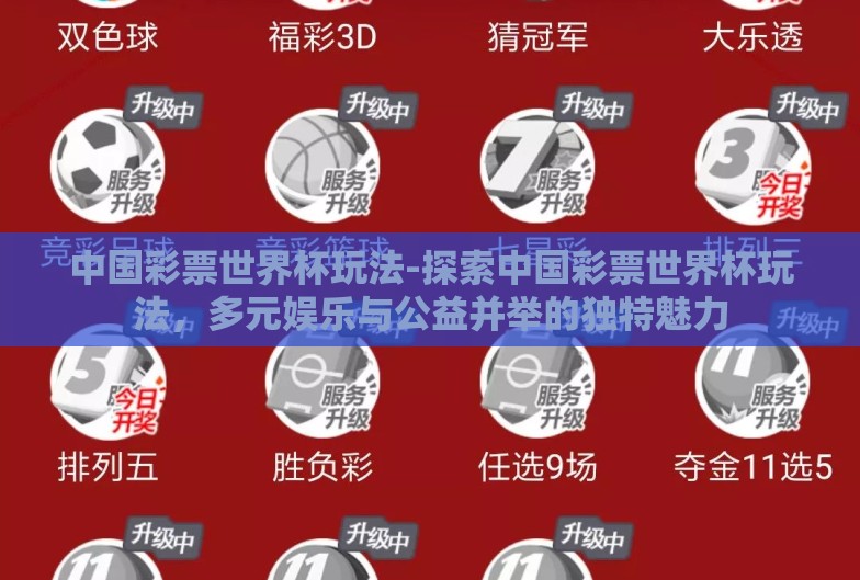 中国彩票世界杯玩法-探索中国彩票世界杯玩法，多元娱乐与公益并举的独特魅力