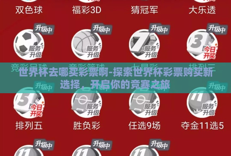 世界杯去哪买彩票啊-探索世界杯彩票购买新选择，开启你的竞赛之旅