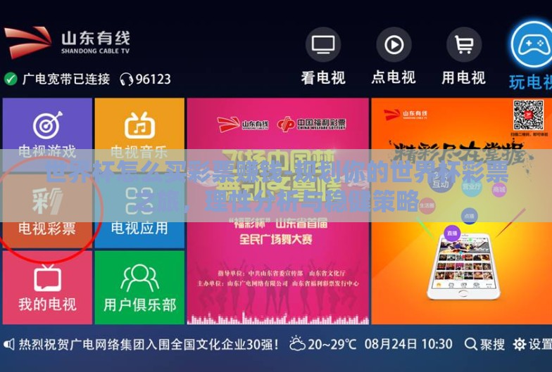 世界杯怎么买彩票赚钱-规划你的世界杯彩票之旅，理性分析与稳健策略
