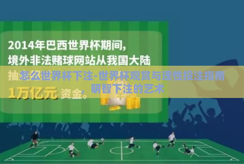 怎么世界杯下注-世界杯观赏与理性投注指南，明智下注的艺术